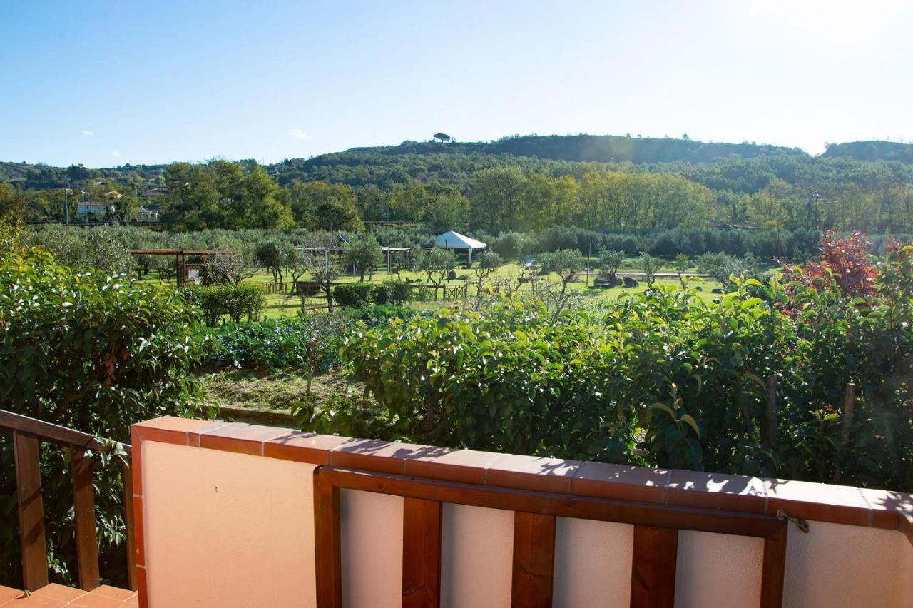 Iscairia Country House Ascea Exterior foto